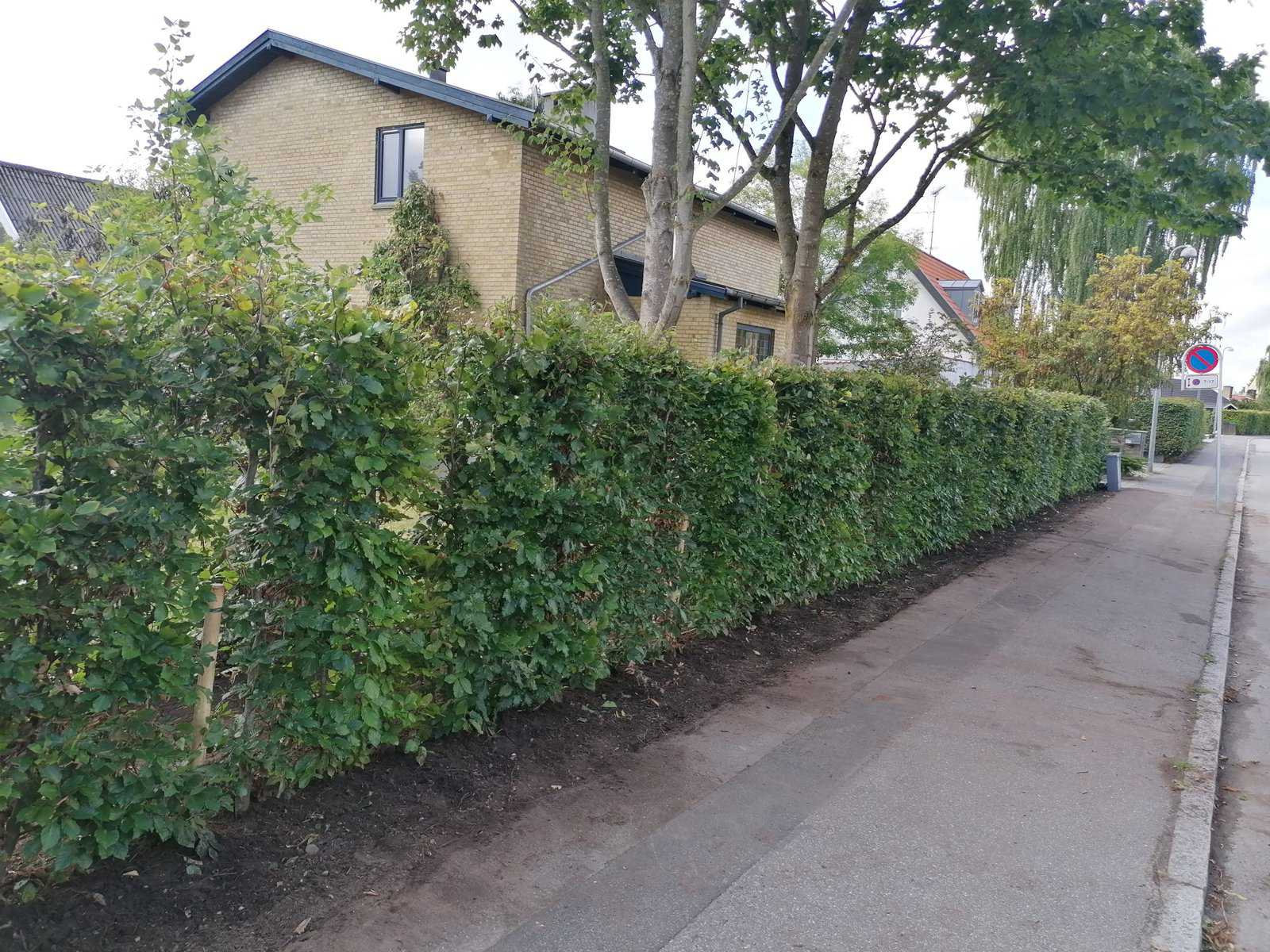 Efter billede gult murstenshus