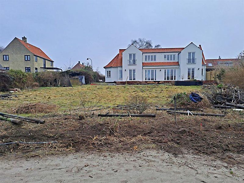 123Færdighæk bøgehæk før og efter billeder