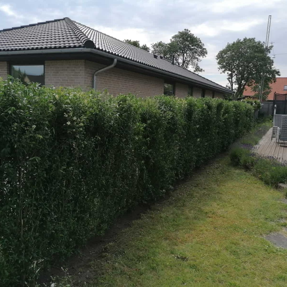 Opført tæt færdighæk